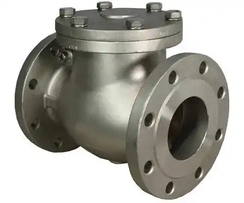 Non Return Valve